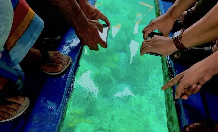 Glass-bottom boat excursion in Diani